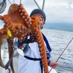 タコ釣りボールで初心者が2.7kg!淡路で大型狙いのコツは?