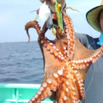 東京湾でのタコ釣り!2kgの大物タコをタコ釣りボールでゲット🐙