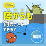 タコって陸からも釣ることができる?【タコ釣り】