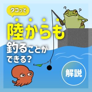 タコって陸からも釣ることができる？【タコ釣り】